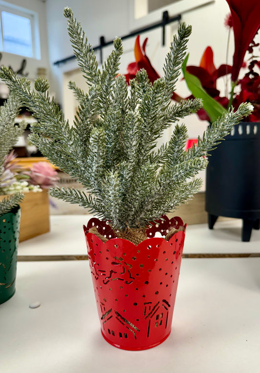 Christmas Evergreen in Metal Red Pot