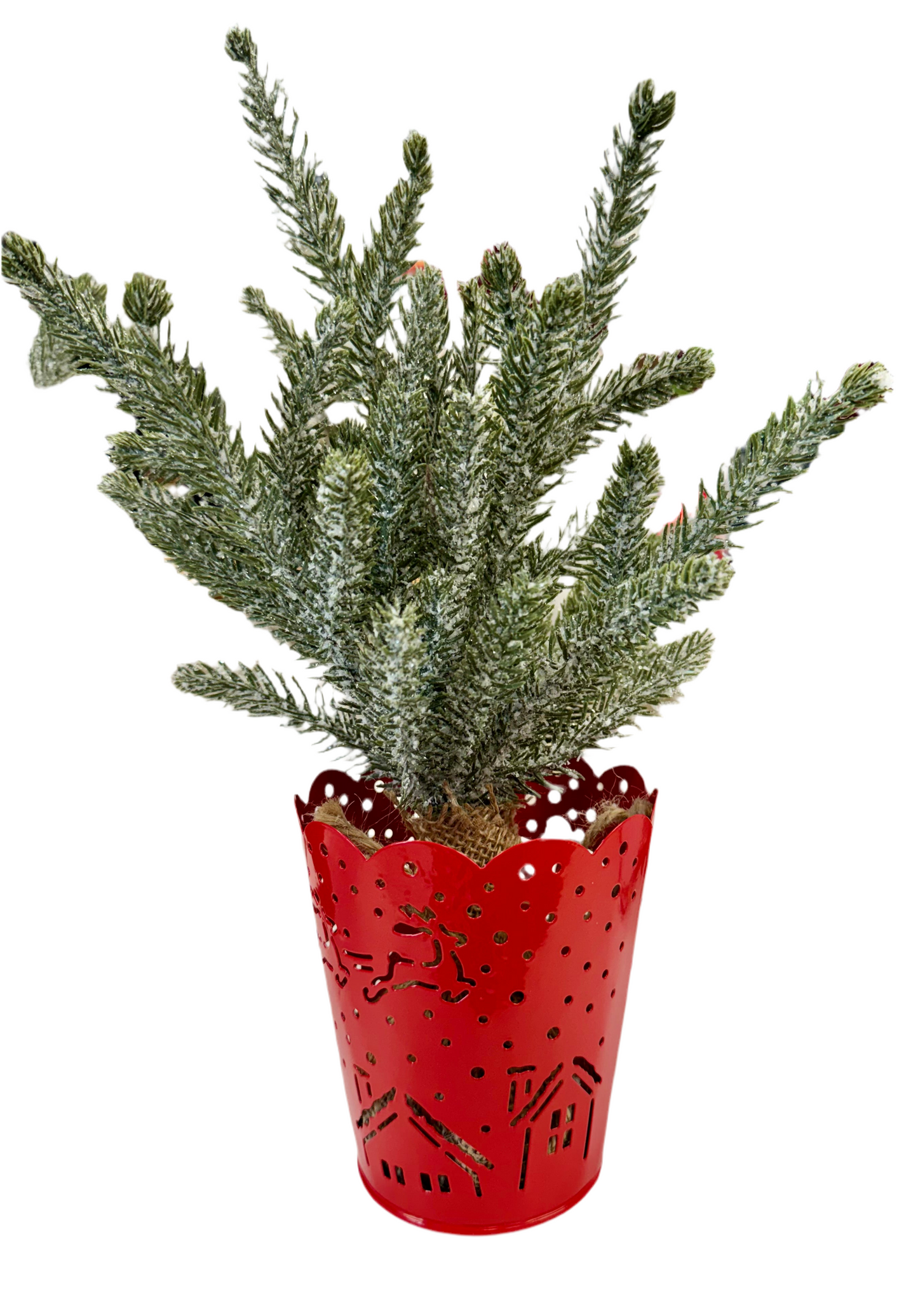 Christmas Evergreen in Metal Red Pot